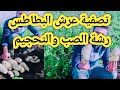 تصفية عرش البطاطس وأهم رشة للتحجيم والصب