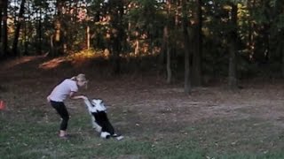 Girl and Dog Dance Beautifully Together! by snuggliepuppy 4,327 views 8 years ago 2 minutes, 4 seconds