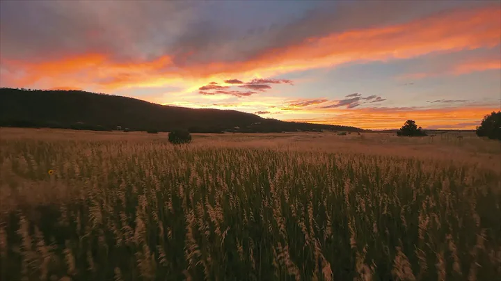 The Future of Christian Universalism? - Timothy Ca...