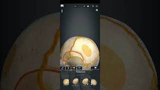 March 24, 2026 #viral #anatomy #physiotherapist #physiotherapy #art #3d #doctor #anatomy #trending