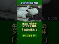 ジャックラッセル母娘 ただの日常･･･【わんこ生活65】（ Jack Russell ） (2008/10)　#jackrussellterrier #ジャックラッセル