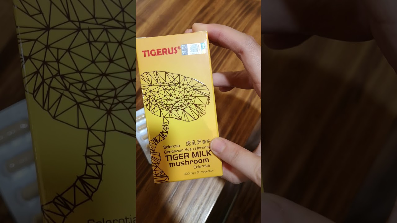 TIGERUS® Tiger Milk Mushroom Sclerotia (300mg x 60 ...