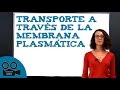 El transporte en la membrana plasmática