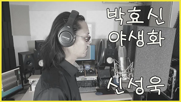 Park Hyo Shin - Wild Flower Cover by Sungwook Shin...