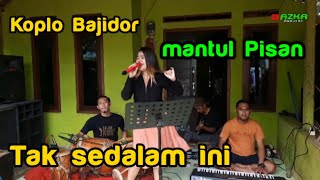 Koplo bajidor||Tak Sedalam ini||Cover Cineur gdor||Edisi Latihan