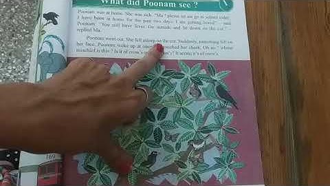 SET - I/03/ENV/01.01