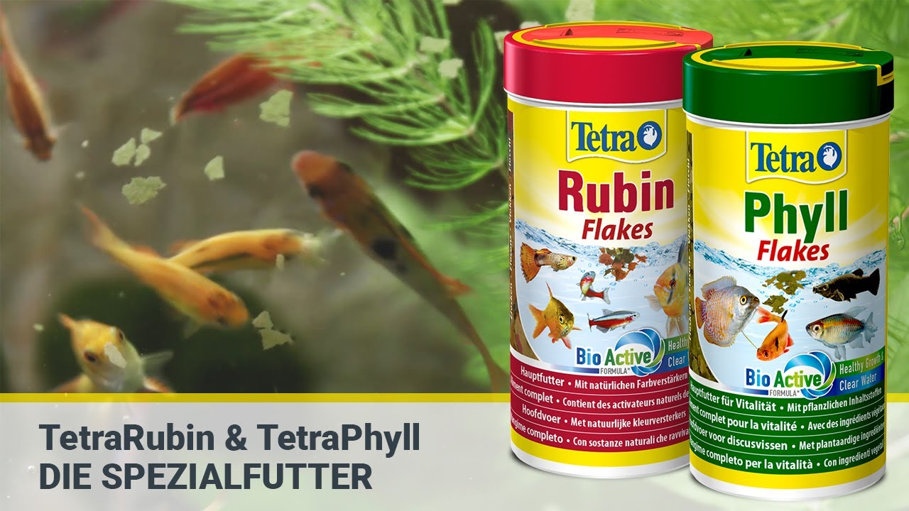 TetraRubin & TetraPhyll | Die Spezialfutter