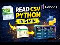 Read CSV Files in Python using Pandas (Beginner Friendly)