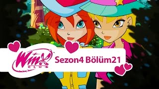 Winx Club - 4. Sezon 21. Bölüm - Sibylla'nın Mağarasında [TAM BÖLÜM]