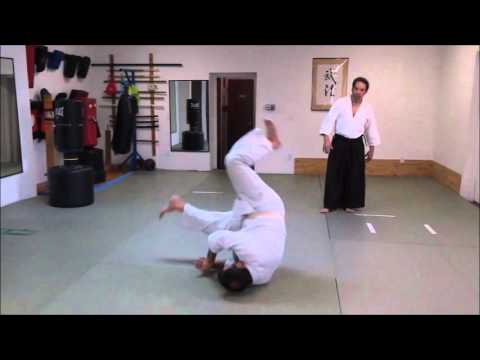 [Unedited] Aikido Video Project: Ukemi Instruction
