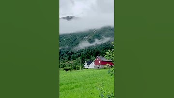 ربنا وسعت كل شيء رحمة وعلما /مقطع قران قصير تلاوة خاشعة بصوت الشيخ عبدالعزيز الأحمد