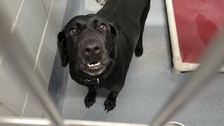 acs A632829