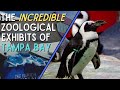 A Look at The Florida Aquarium and ZooTampa