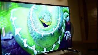 Euro National LED TV 40 Inch screenshot 5