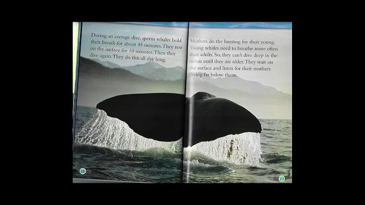 Whales by Laura Marsh