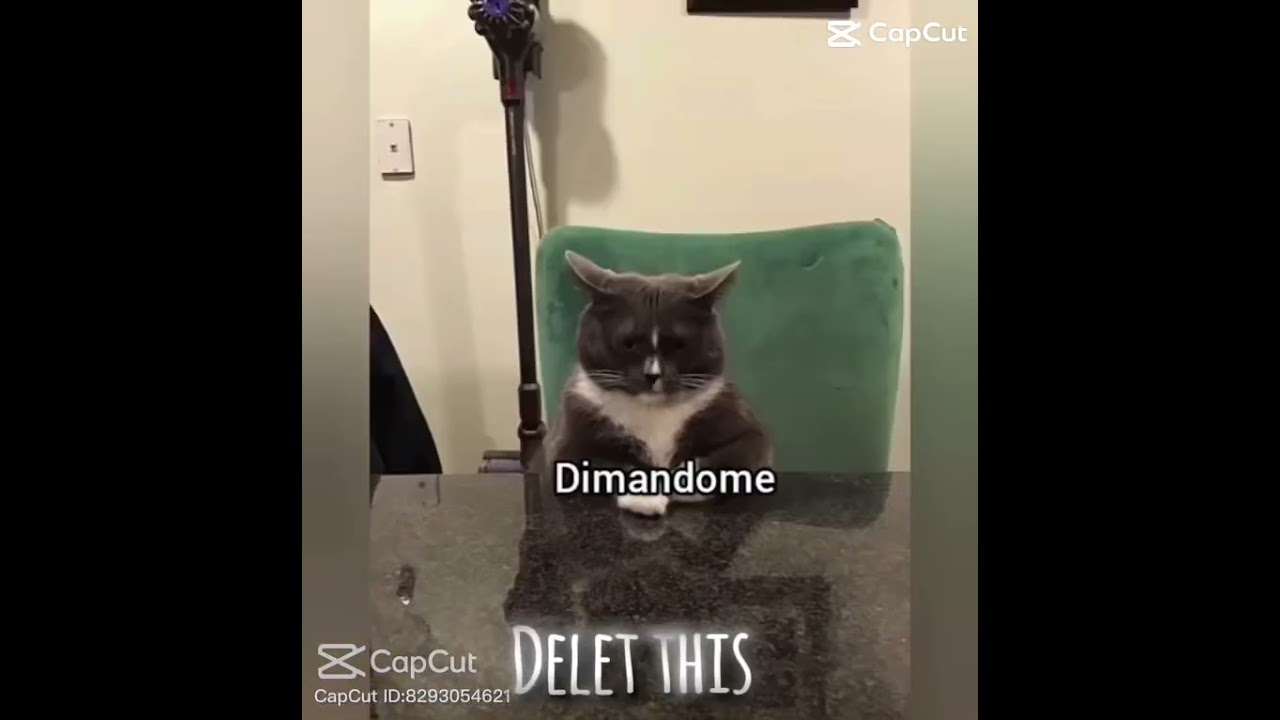 shut yo pasty, chicken bone, Google Chrome, no home, flip phone, ice cream cone, garden gno-