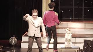 Comedy Dog Show. MAGIC DOG. Leonid Beljakov.