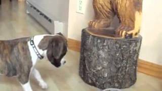 Freja vs. Robomop