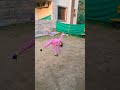 My Little Gymnastic Champs | Power & Flexibility Training #unfrezzmyaccount #short #gymnast
