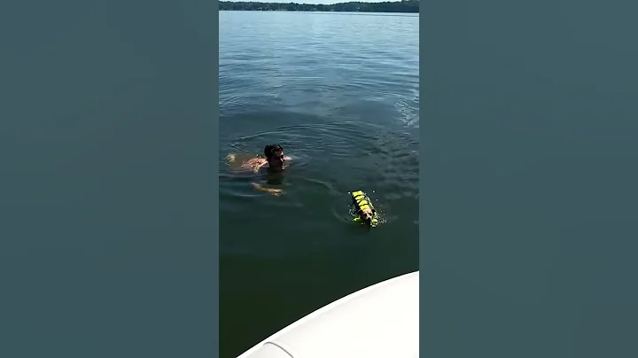 Teaching doggy how to swim at Lake Norman in Moore...