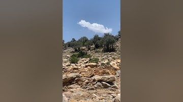 اواخر سورة الحشر يونس اسويلص