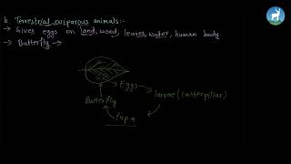 Astha Dahal -Classification Of Animals According To Reproduction- Grade 4