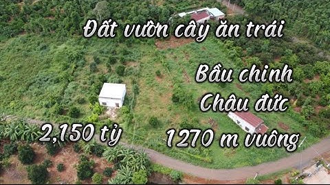 Anh đồng cần bán đất vườn đã trồng cây ăn trái ở bầu chinh châu đức bà rịa vũng tàu,không khí mát mẻ