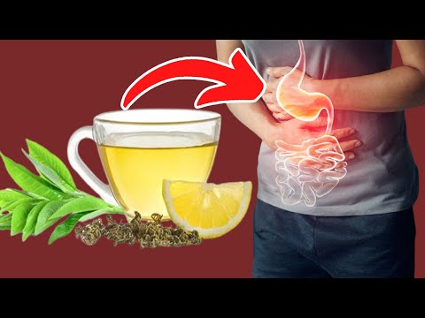 8 Effective Lemon Verbena Tea Benefits