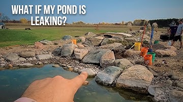 How to FIND and FIX a leak in your KOI POND