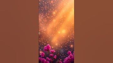 A Moment of Magic – Soothing 4K Visuals for Relaxation