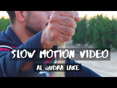 Slow Motion Cinematic Video (AL QUDRA LAKE)  DUBAI 🇦🇪