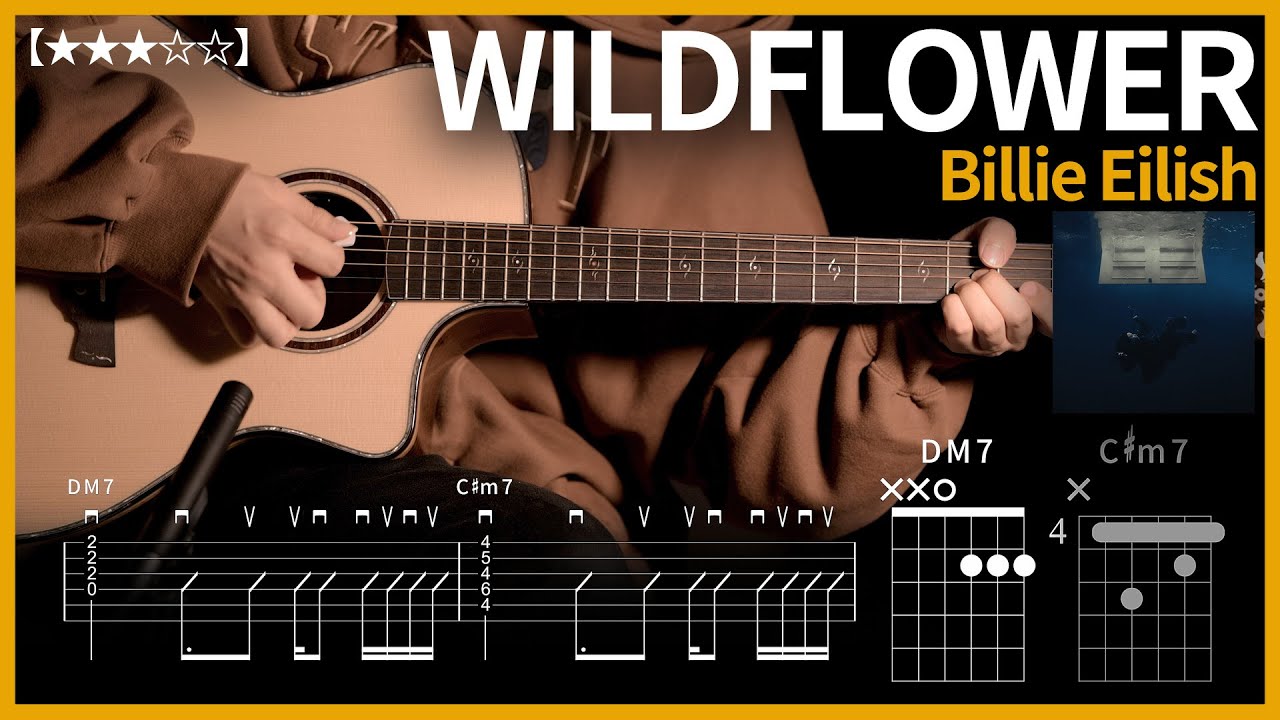 539.Billie Eilish WILDFLOWER 기타커버 【★★★☆☆】 Guitar tutorial ギター 弾いてみ