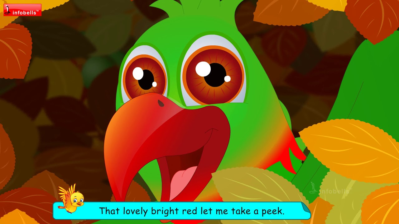 The Parrot Song   Bird Rhymes  Rhymes for Children  Infobells