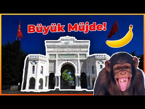 İstanbul Üniversitesi Müze Oluyor! /Podcast