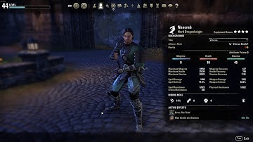 ESO - Weapon Visual Bug (Invisible Weapon / Weapon on Back)