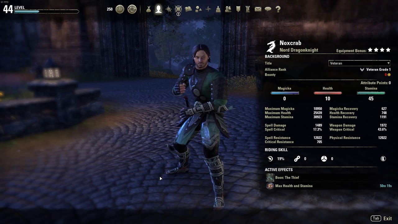 ESO - Weapon Visual Bug (Invisible Weapon / Weapon on Back)
