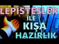 BİR SÜRÜ LEPİSTES AKVARYUMUNU KIŞA HAZIRLADIM! (lepiste üretimi)