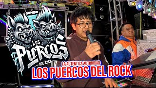 LOS PUERCOS DEL ROCK CON LA ORG LOS PRIMOS