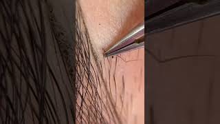 Celebrity So freaking satisfied eyebrows plucking ๐ณ๐ฅฐ#angeldevilvlog #youtube #shorts #satisfyingvideo Net Worth