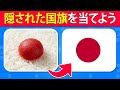 イリュージョンで隠された国旗を当てろ！✅🌏🚩 60個の目の錯覚チャレンジ