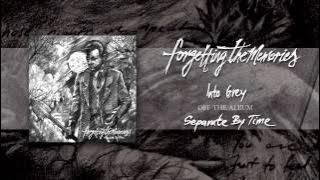 Forgetting The Memories - Into Grey