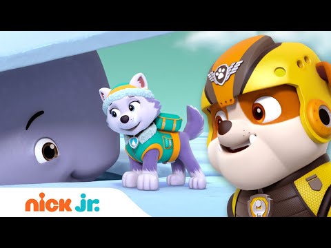 Rubble Rescues a