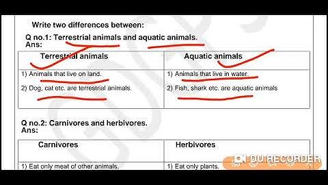 Grade 2 EVS Dated 07 09 2021