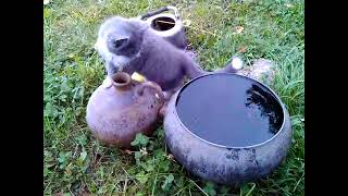 Sisters  Сестрички