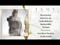 IAMX War Of Words mp3