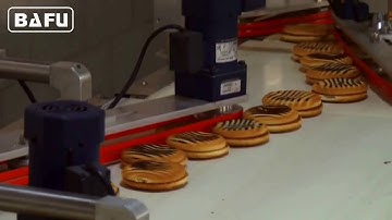 FWC350 Aligner Feeder Flow Pack Machine