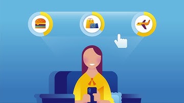 The Visa Developer Platform