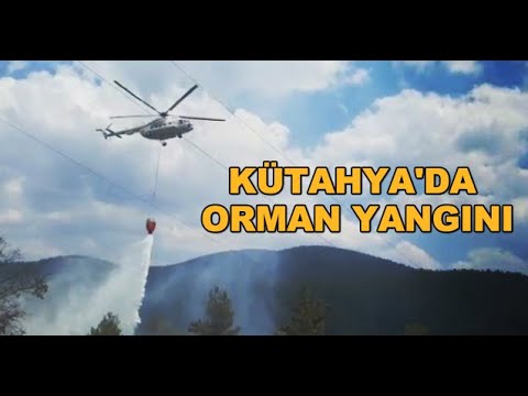 KÜTAHYA'DA ORMAN YANGINI!