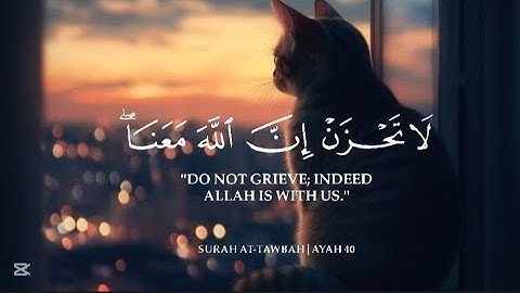 تلاوة تقشعر لها الأبدان 🥺💔 راحة نفسية لا توصف 🌷 كأنه صوت قادم من الجنه!😴