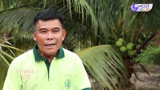 คนไทยหัวใจเกษตร 26 สิงหาคม 2563 B2